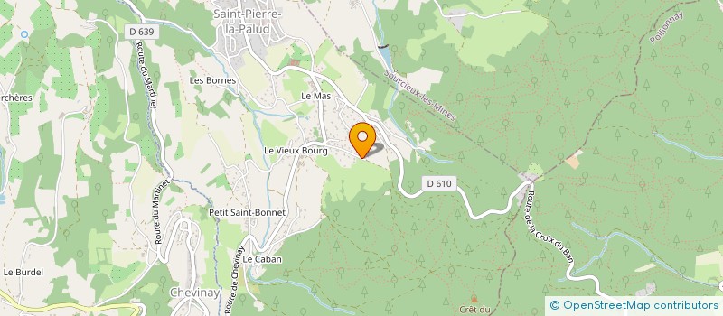 localisation de l'entreprise 848 313 334   SAINT-PIERRE-LA-PALUD