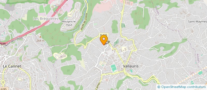 localisation de l'entreprise 848 374 336   VALLAURIS