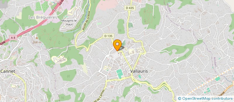 localisation de l'entreprise 848 453 908 à VALLAURIS