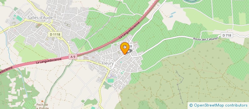 localisation de l'entreprise 849 390 851   SALLES-D'AUDE