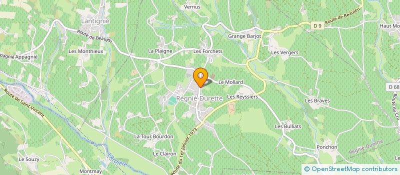 localisation de l'entreprise 849 656 251   REGNIE-DURETTE