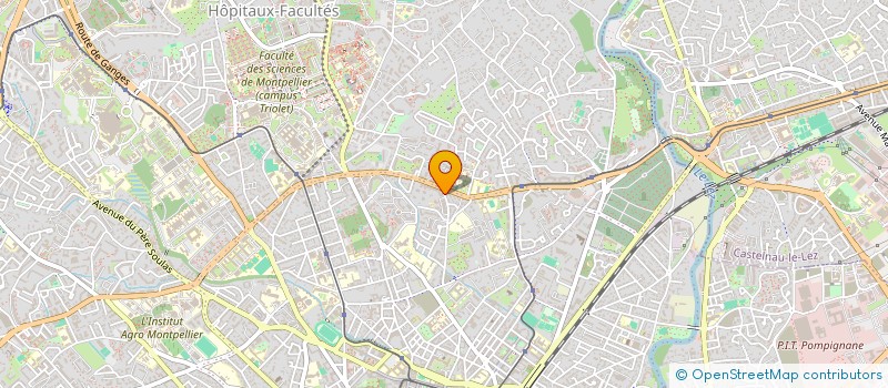 localisation de l'entreprise 850 447 863 à MONTPELLIER