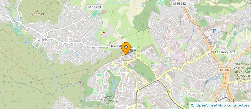 localisation de l'entreprise 850 571 373   SAINT-GELY-DU-FESC