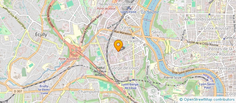 localisation de l'entreprise 850 655 275   LYON