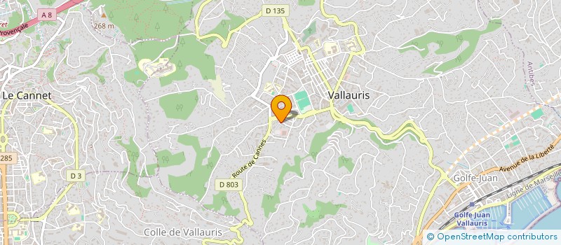 localisation de l'entreprise 850 737 883 à VALLAURIS