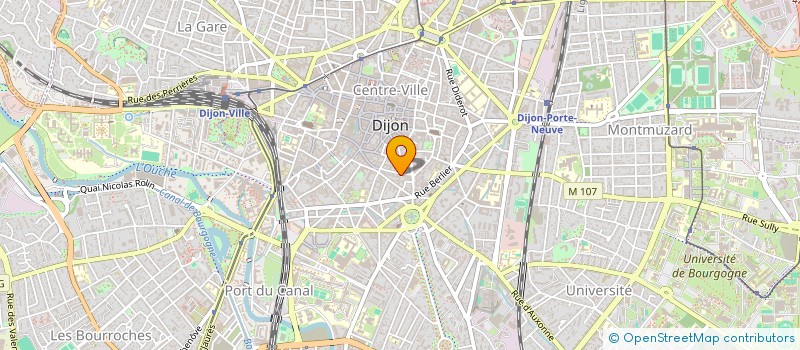 localisation de l'entreprise 851 251 660 à DIJON