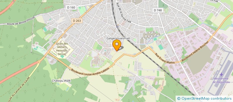 localisation de l'entreprise 851 287 789   HAGUENAU