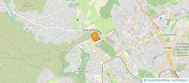 localisation de l'entreprise 851 309 336   MONTPELLIER