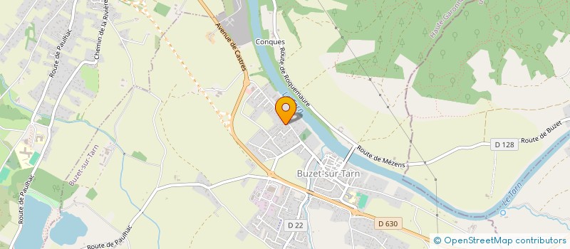 localisation de l'entreprise 851 533 380   BUZET-SUR-TARN