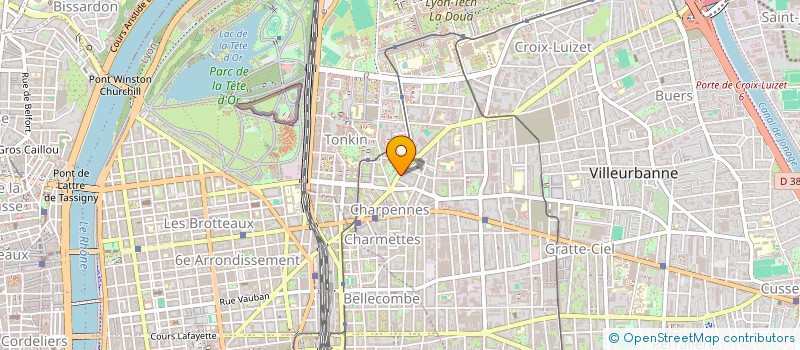 localisation de l'entreprise 851 561 985   DECINES-CHARPIEU