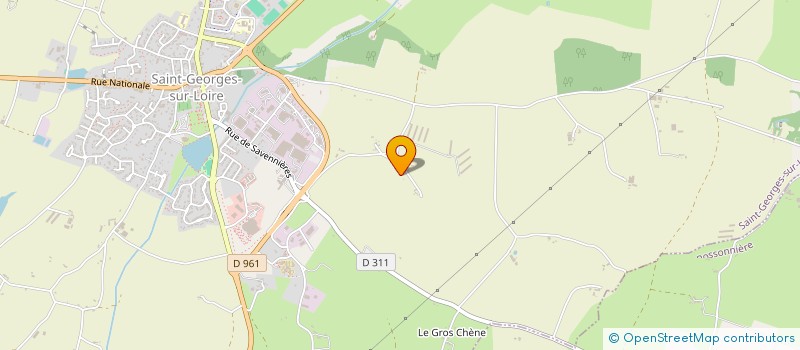 localisation de l'entreprise 852 026 913   SAINT-GEORGES-SUR-LOIRE