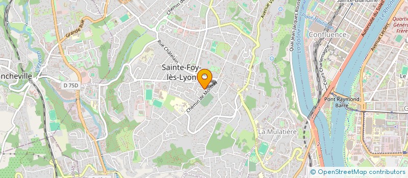 localisation de l'entreprise 853 203 461   SAINTE-FOY-LES-LYON