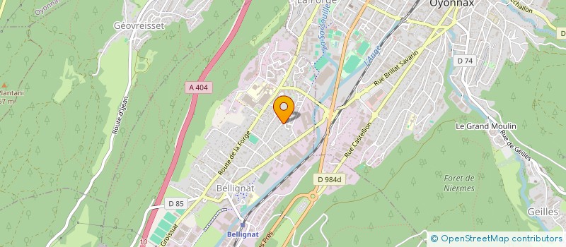 localisation de l'entreprise 853 882 066 à BELLIGNAT