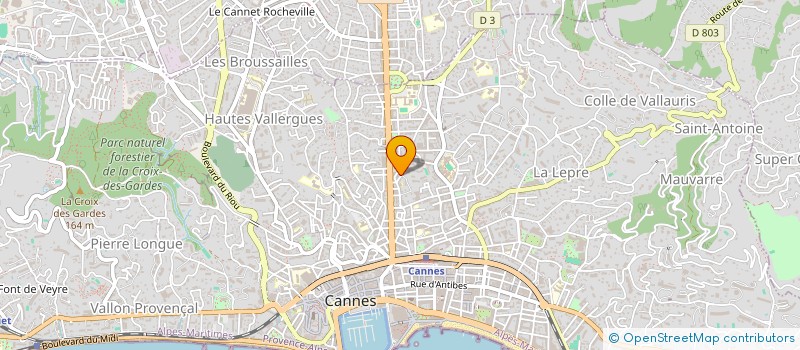 localisation de l'entreprise 877 638 593 à CANNES