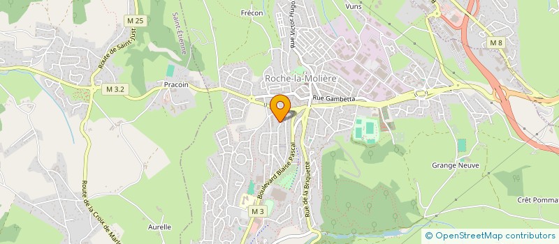 localisation de l'entreprise 877 749 614   ROCHE-LA-MOLIERE