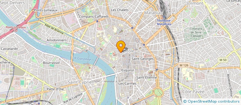 localisation de l'entreprise 878 008 960 à TOULOUSE