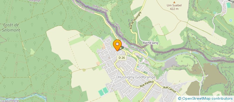 localisation de l'entreprise 879 493 401   LAUMESFELD