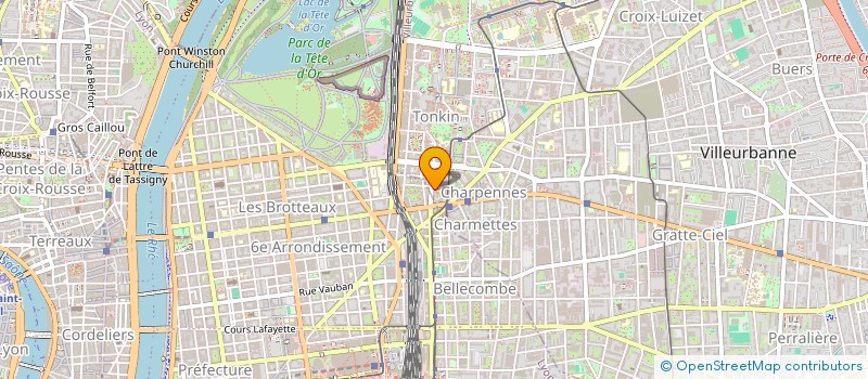 localisation de l'entreprise 879 831 113   VILLEURBANNE