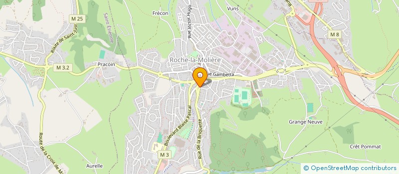 localisation de l'entreprise 880 288 568   ROCHE-LA-MOLIERE