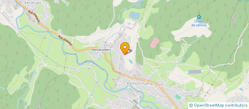 localisation de l'entreprise 880 419 106   LE THILLOT