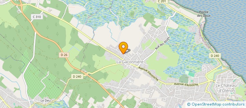 localisation de l'entreprise 881 301 295 à SAINT-GEORGES-D'OLERON