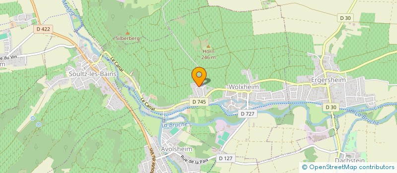 localisation de l'entreprise 881 338 669   SOULTZ LES BAINS