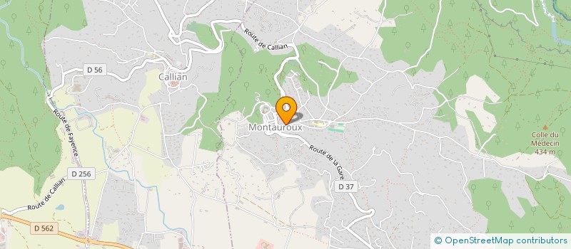 localisation de l'entreprise 881 671 556 à MONTAUROUX