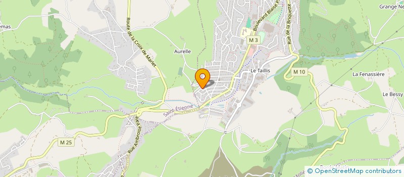 localisation de l'entreprise 882 109 234   ROCHE-LA-MOLIERE