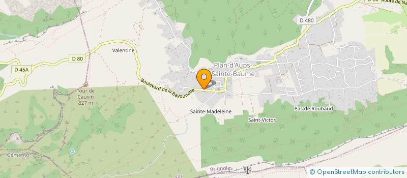 localisation de l'entreprise 882 769 979   PLAN-D'AUPS-SAINTE-BAUME