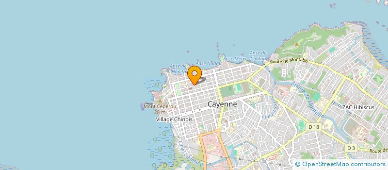 localisation de l'entreprise 882 873 847   CAYENNE