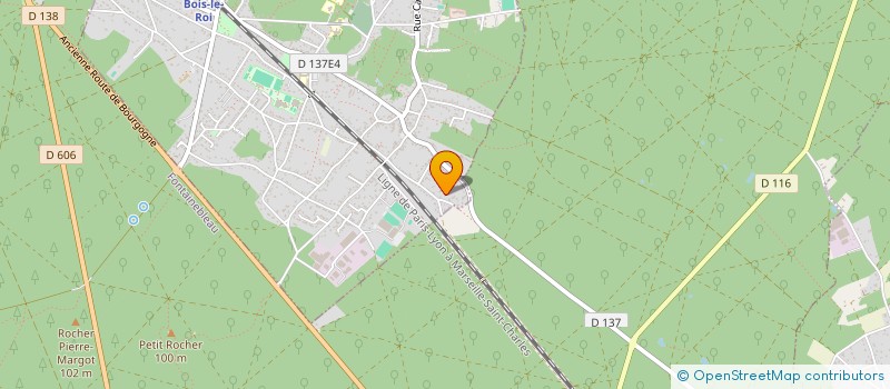 localisation de l'entreprise 883 180 374   BOIS-LE-ROI