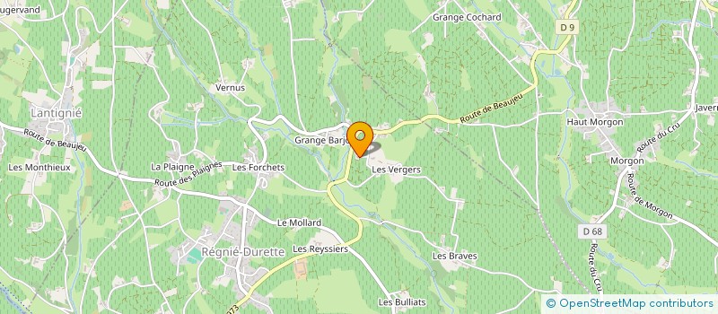 localisation de l'entreprise 883 929 804   REGNIE-DURETTE