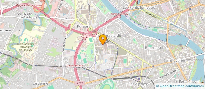 localisation de l'entreprise 888 222 833 à TOULOUSE