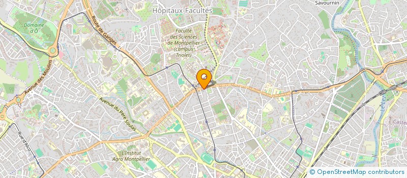 localisation de l'entreprise 888 229 044 à MONTPELLIER