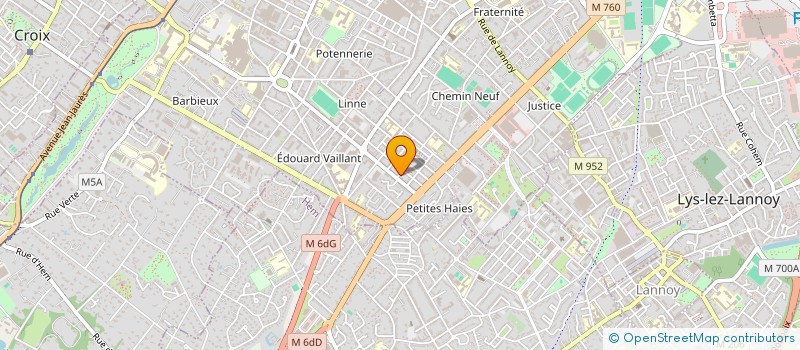 localisation de l'entreprise 888 234 663   ROUBAIX