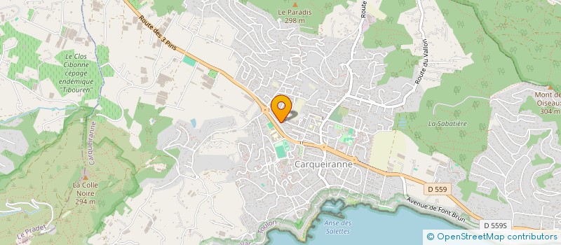 localisation de l'entreprise 888 554 771   CARQUEIRANNE