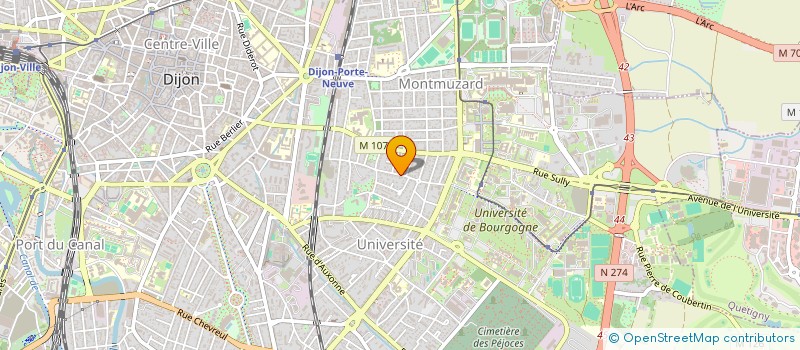 localisation de l'entreprise 888 729 423   DIJON