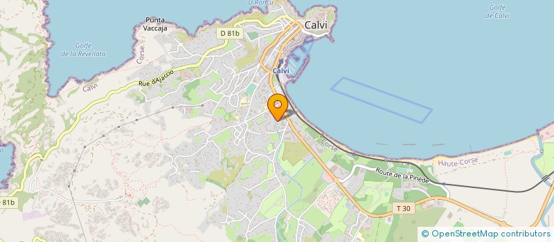 localisation de l'entreprise 889 080 917 à CALVI