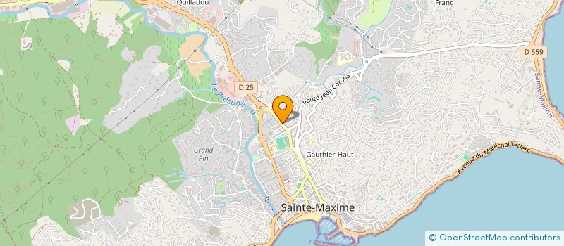 localisation de l'entreprise 890 323 165  à LE CANNET