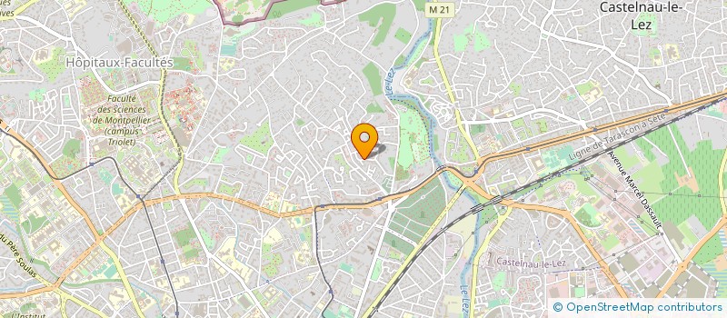 localisation de l'entreprise 890 545 825 à MONTPELLIER