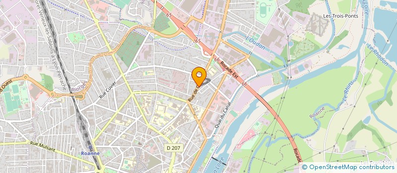 localisation de l'entreprise 890 664 394  à ROANNE