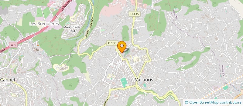 localisation de l'entreprise 891 610 842 à VALLAURIS