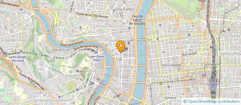 localisation de l'entreprise 892 893 298 à LYON