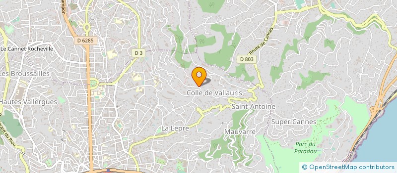 localisation de l'entreprise 893 431 007   CANNES