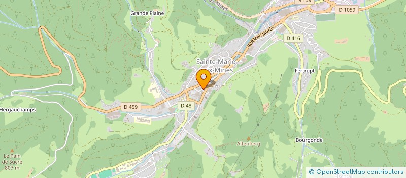 localisation de l'entreprise 893 463 323   SAINTE-MARIE-AUX-MINES