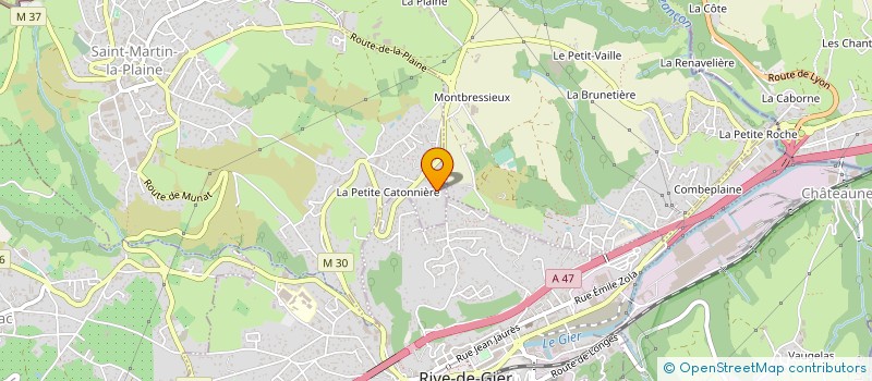 localisation de l'entreprise 893 788 240   SAINT-MARTIN-LA-PLAINE