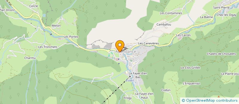 localisation de l'entreprise 894 045 632   MONTRIOND