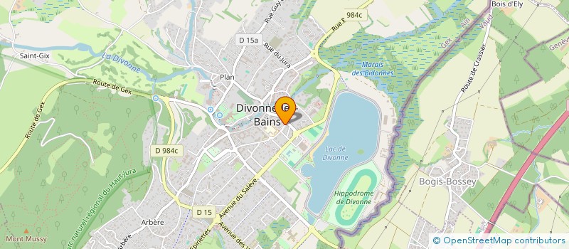 localisation de l'entreprise 894 114 214 à DIVONNE-LES-BAINS