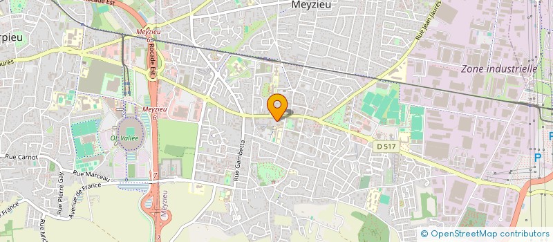 localisation de l'entreprise 894 197 169   MEYZIEU