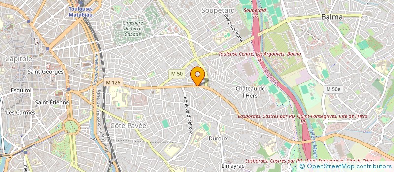 localisation de l'entreprise 894 316 223 à TOULOUSE